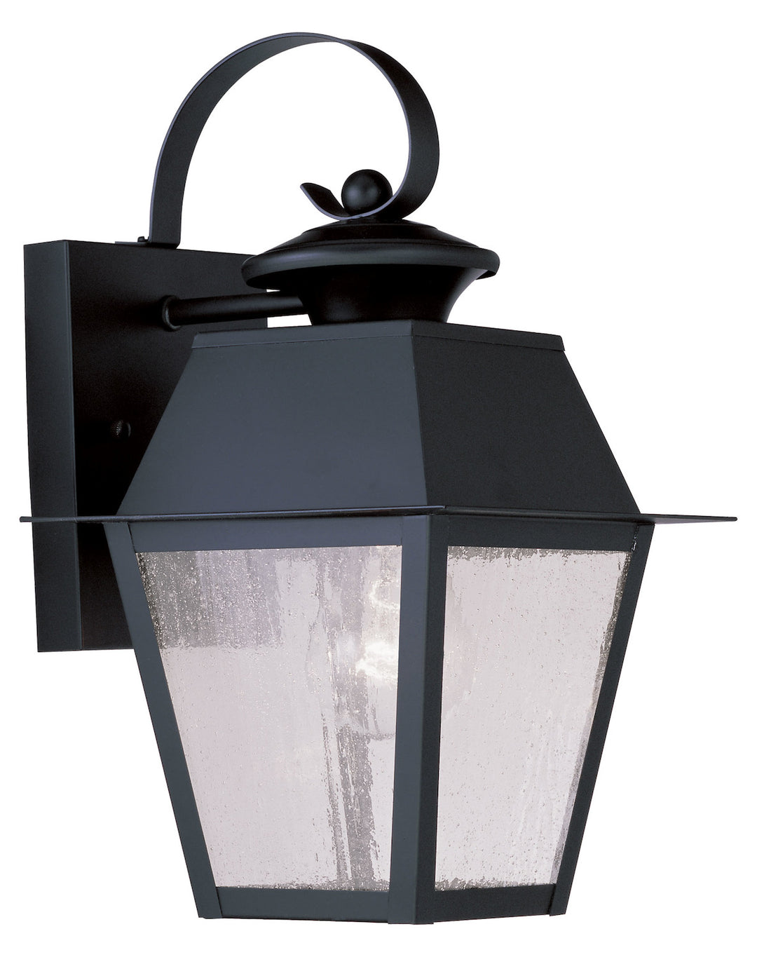 Black  Medium Outdoor Wall Sconce With 1 Light by Livex Lighting