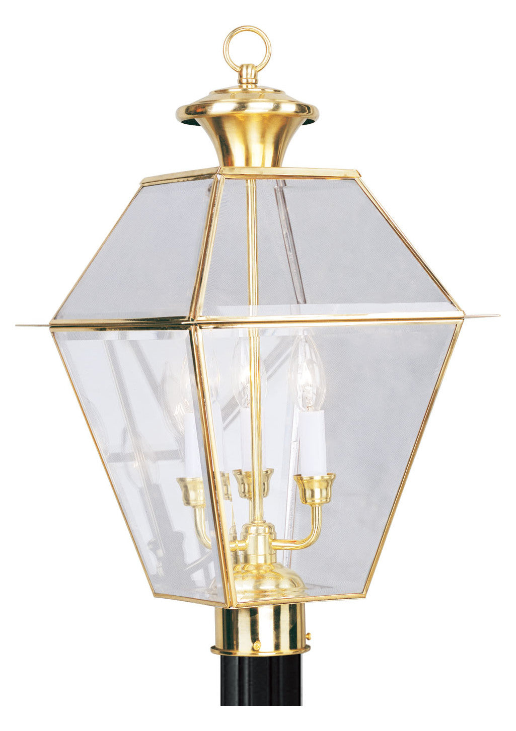 Polished Brass Post Light by Livex Lighting