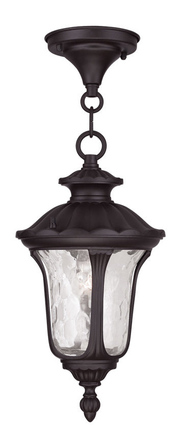 One Light Bronze Hanging Lantern by Livex Lighting