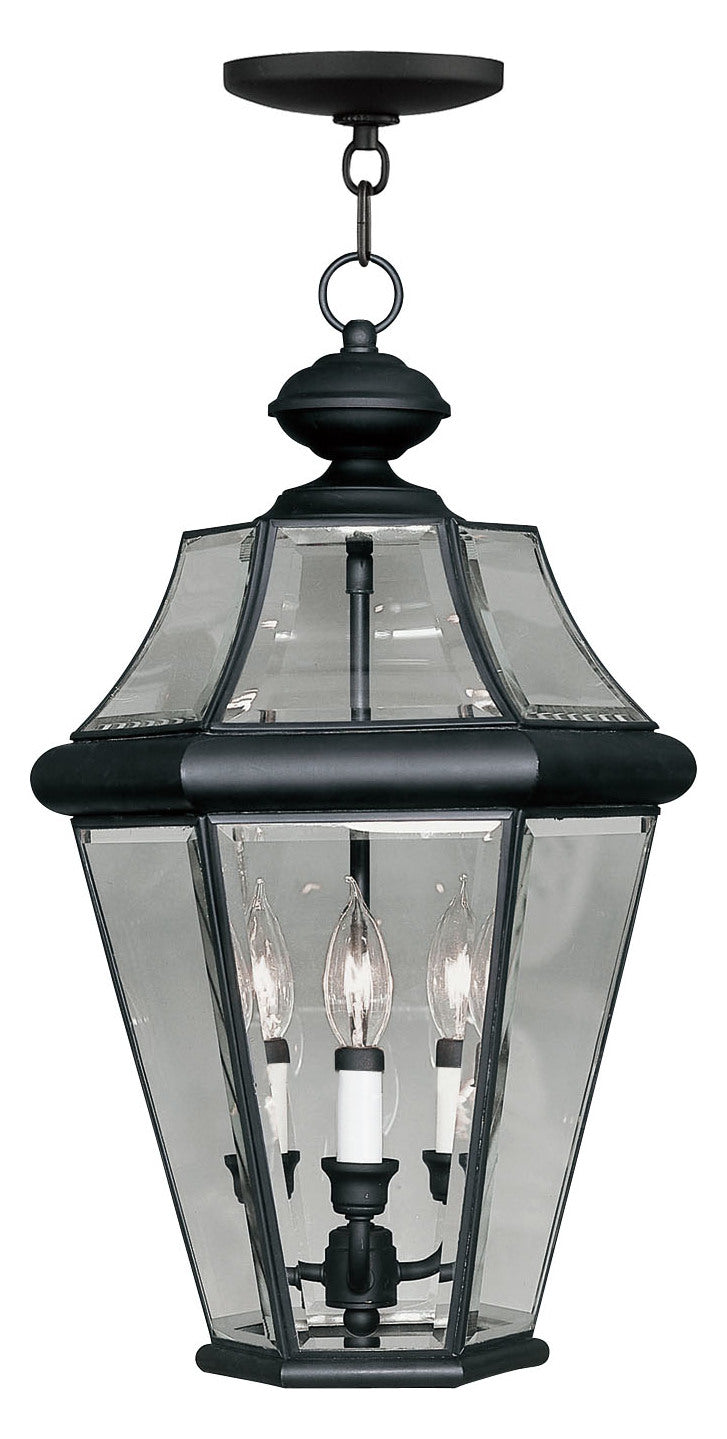 Black Outdoor Foyer Hall Fixture by Livex Lighting