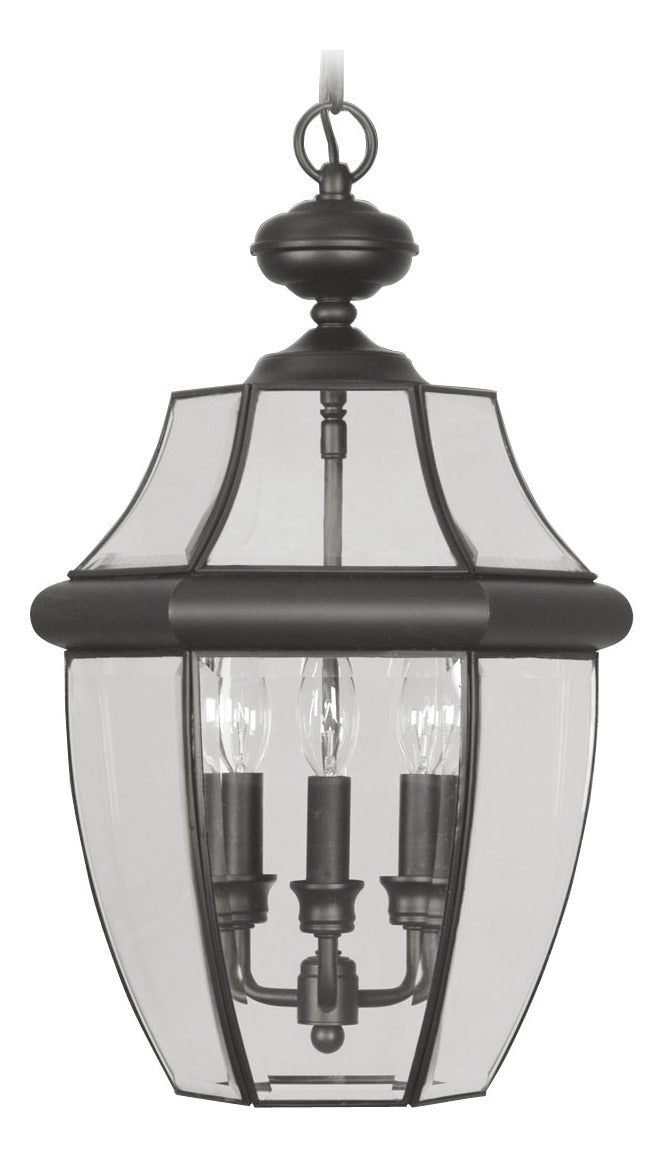 Black Outdoor Foyer Hall Fixture by Livex Lighting