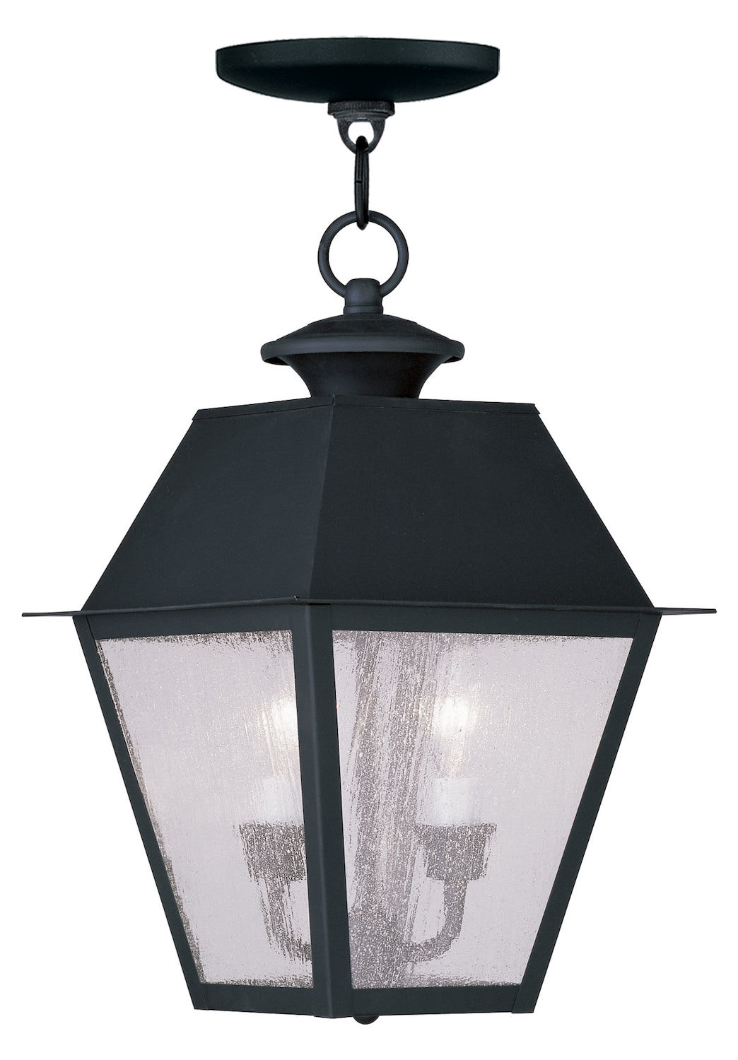 Black  Outdoor Pendant With 2 Lights by Livex Lighting