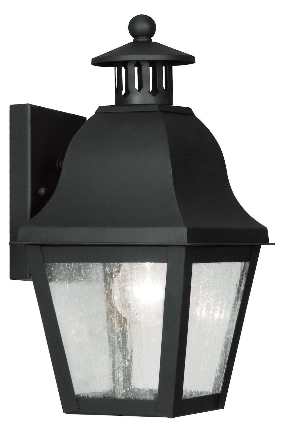 Black  Medium Outdoor Wall Sconce With 1 Light by Livex Lighting