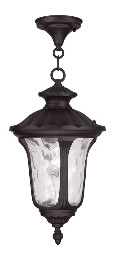 One Light Bronze Hanging Lantern by Livex Lighting