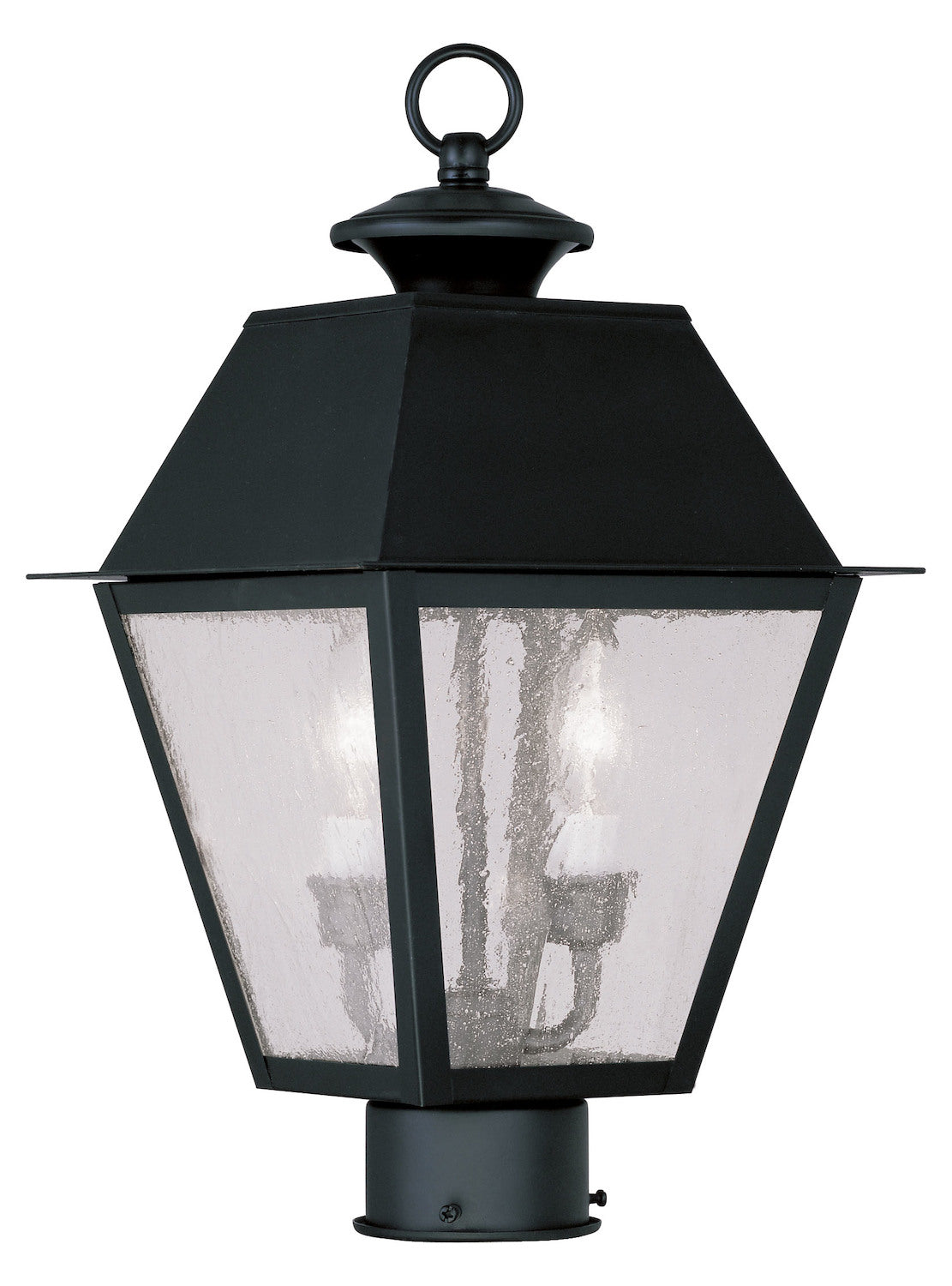 Black  Post Light With 2 Lights by Livex Lighting