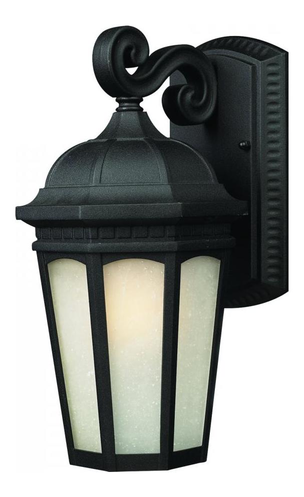 Black  1 Light Outdoor Wall Sconce with White Seedy Shade by Z-Lite