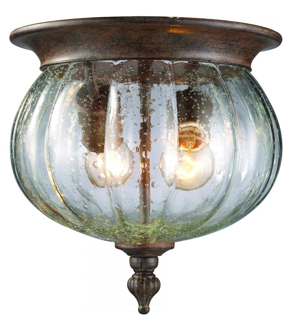 Bronze  2 Light Outdoor Flushmount Ceiling Fixture with Clear Seedy Shade by Z-Lite