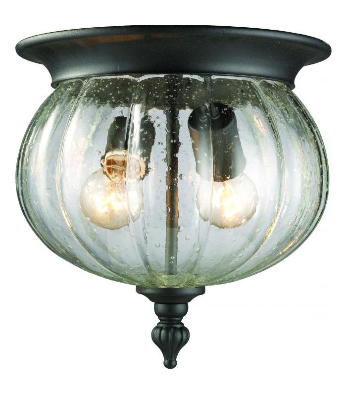 Black  2 Light Outdoor Flushmount Ceiling Fixture with Clear Seedy Shade by Z-Lite