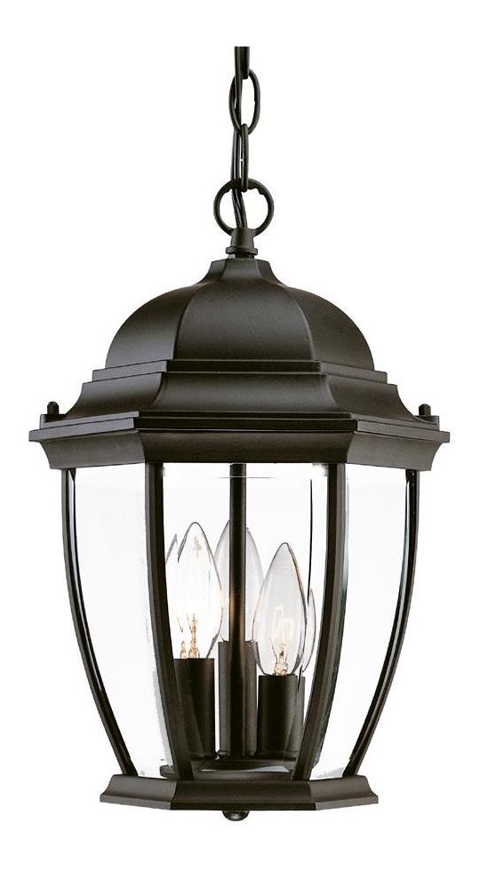 Three Light Matte Black Hanging Lantern by Acclaim Lighting