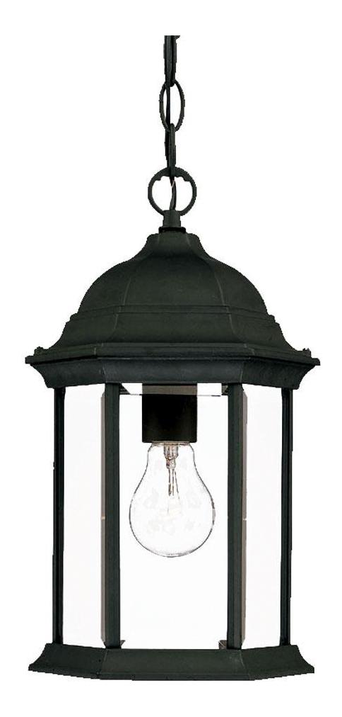 One Light Matte Black Hanging Lantern by Acclaim Lighting