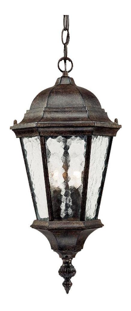 Two Light Black Coral Hanging Lantern by Acclaim Lighting