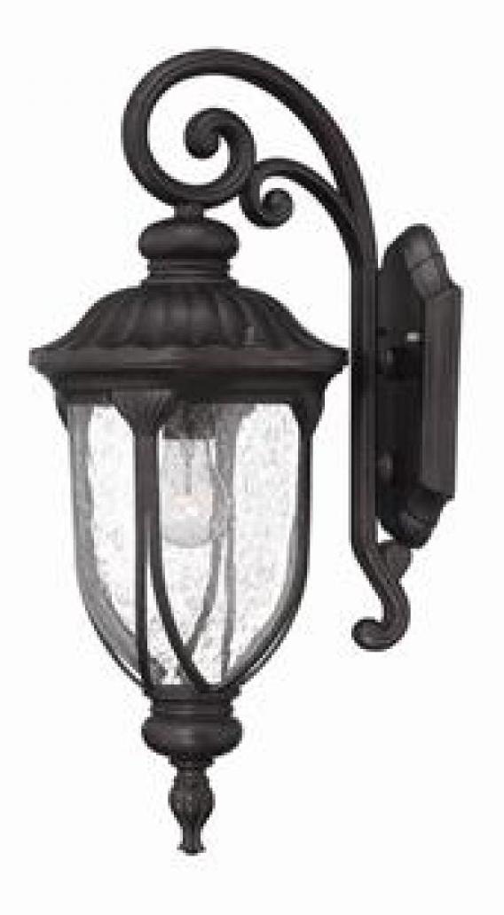 Collection Wall-Mount 1-Light Outdoor Black Coral Light Fixture by Acclaim Lighting