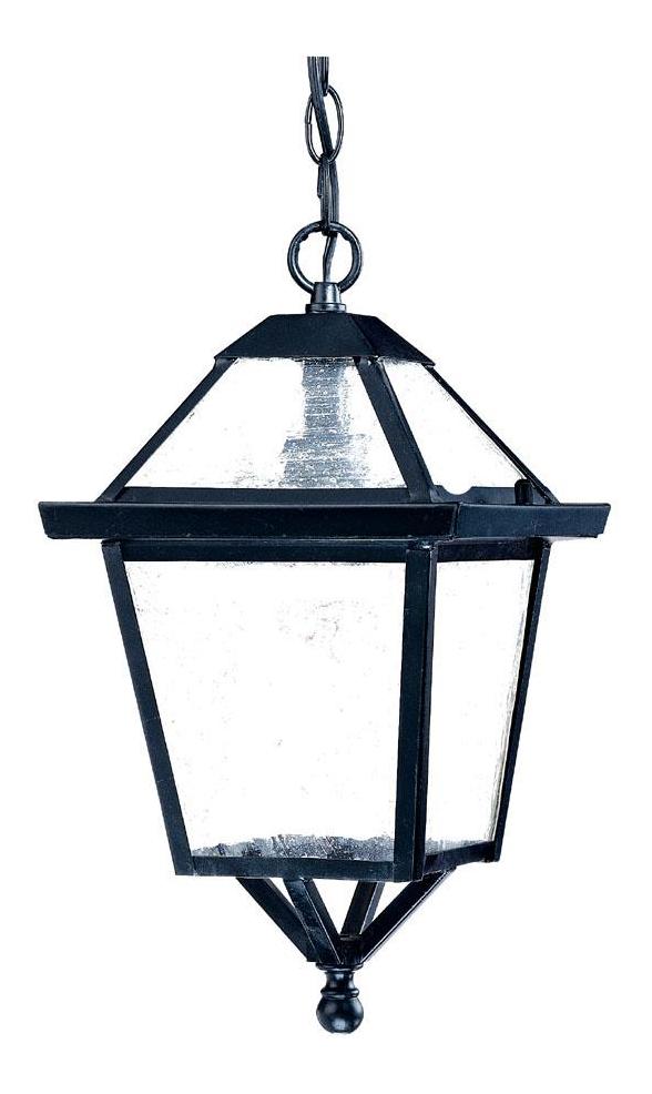 One Light Matte Black Hanging Lantern by Acclaim Lighting