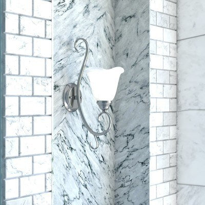 1L Vanity Brushed Nickel