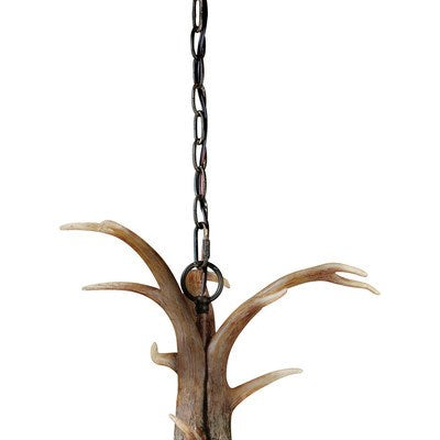 6L Antler Chandelier Black Walnut