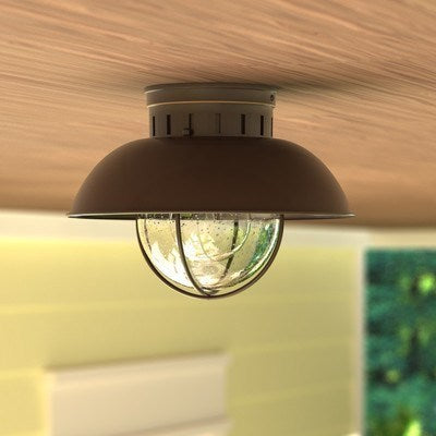 10-in Outdoor Flush Mount Ceiling Light Burnished Bronze