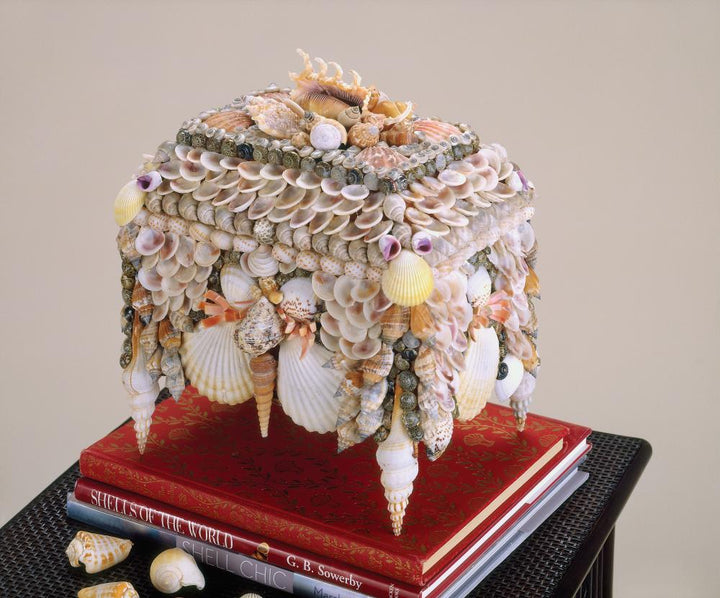 Natural Shell  10in.W Shell Jewelry Box