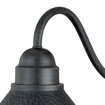 9.75-in Long Arm Outdoor Wall Light Aged Iron and Light Gold