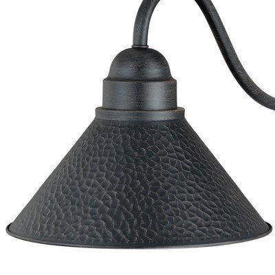 9.75-in Long Arm Outdoor Wall Light Aged Iron and Light Gold