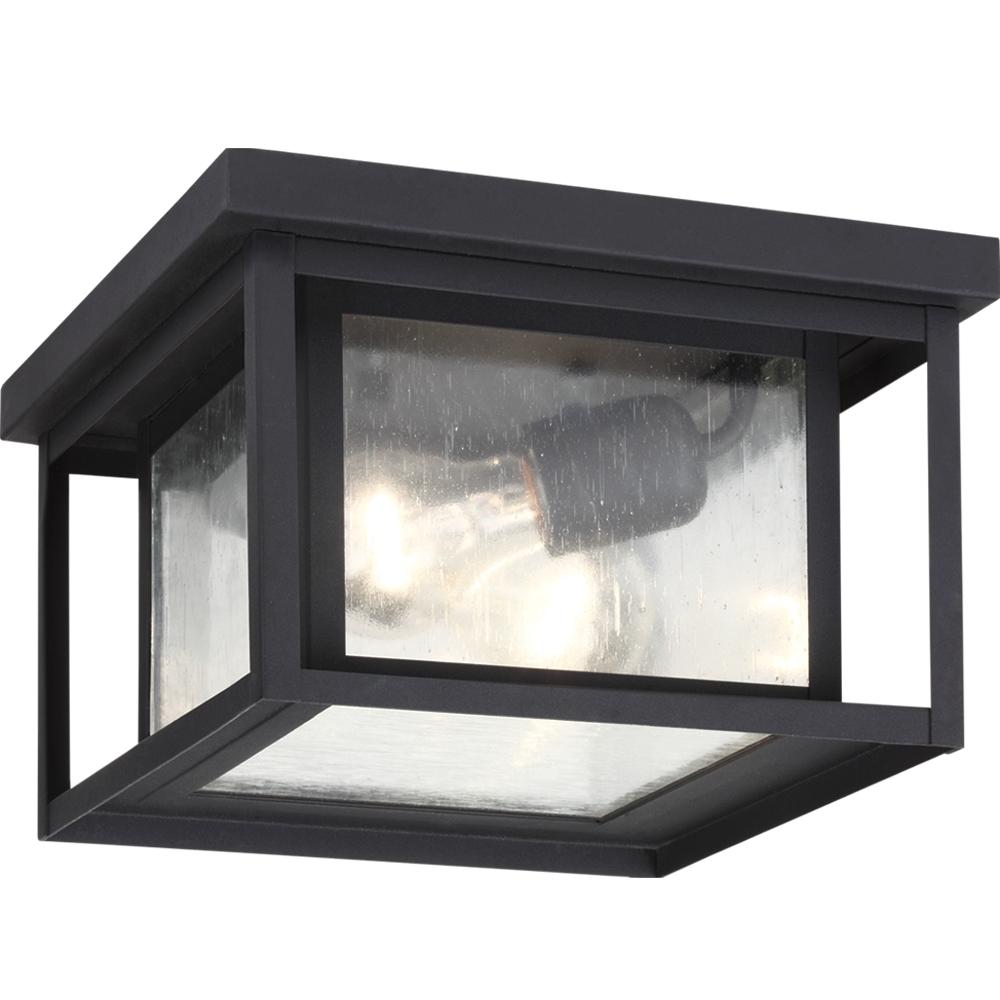 Two Light Outdoor Flush Mount In Black With Clear Seeded Glass by Generation Lighting