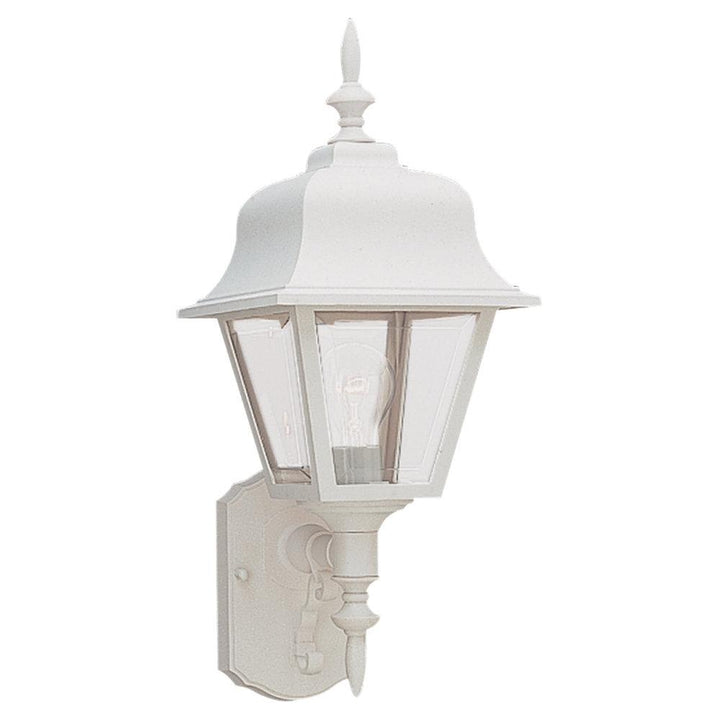 Single-Light Outdoor Wall Lantern