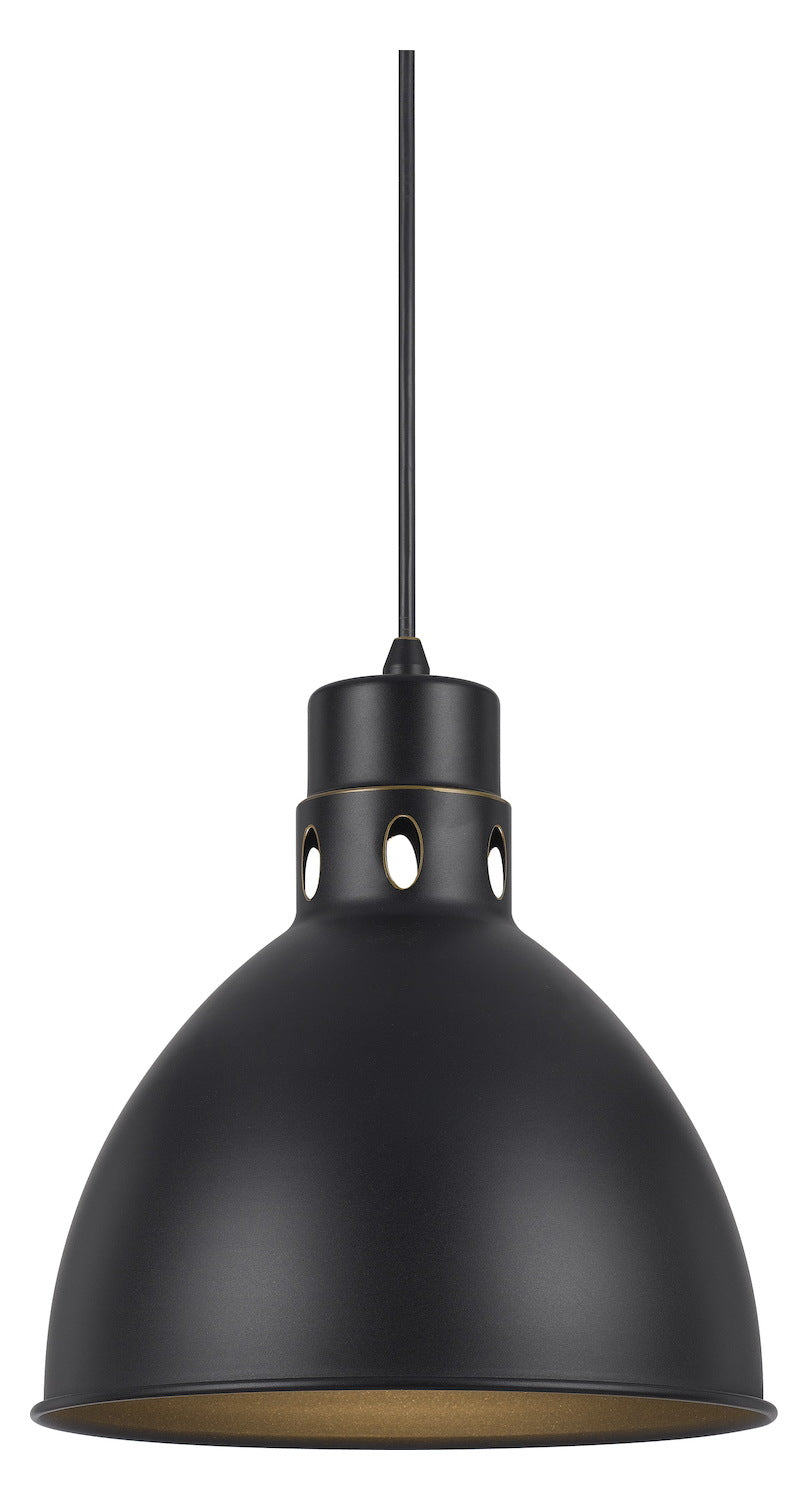 150W Webster Metal Pendant by CAL Lighting
