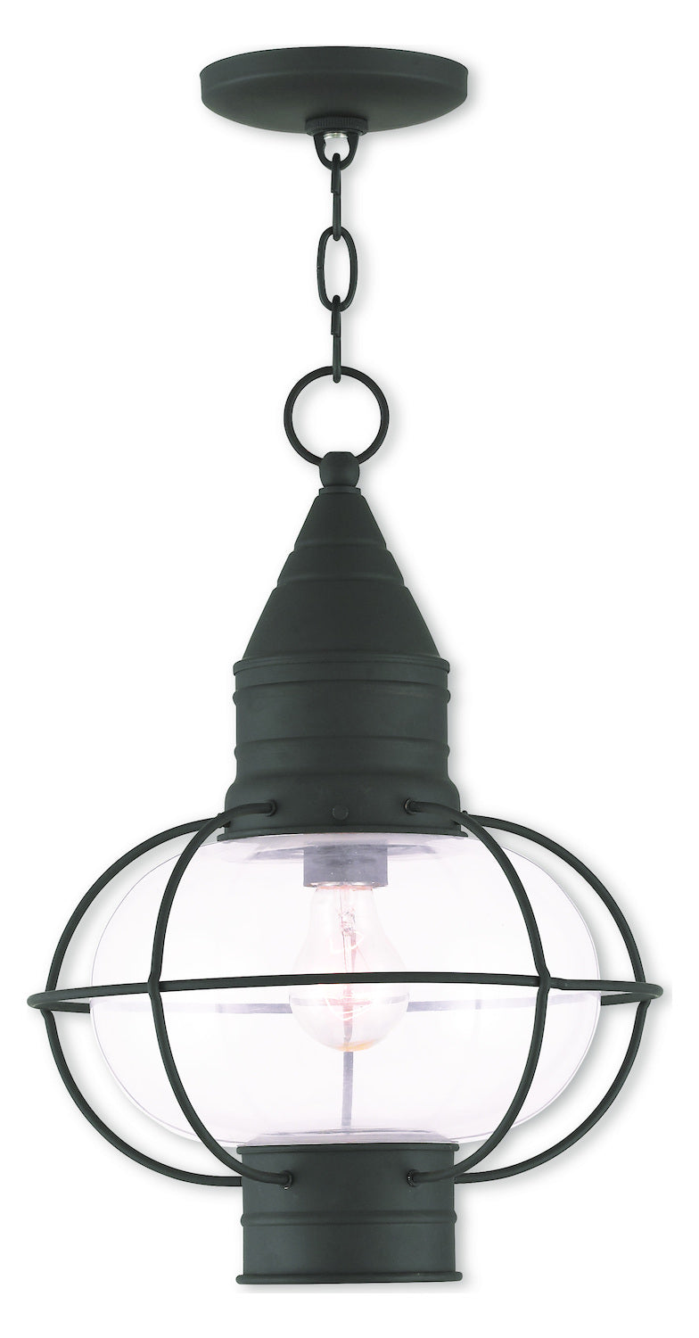 Black Chain Lantern by Livex Lighting
