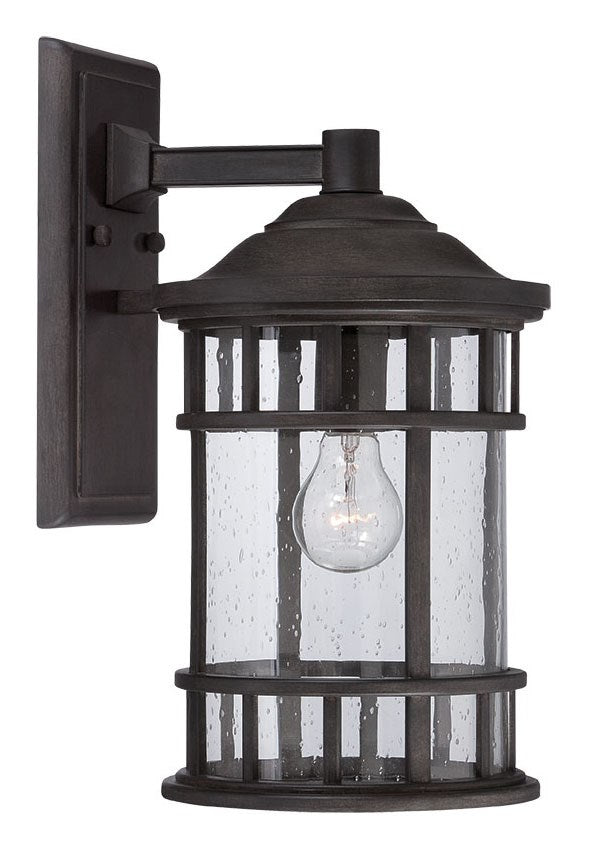 1-Light Outdoor Black Coral Light Fixture by Acclaim Lighting