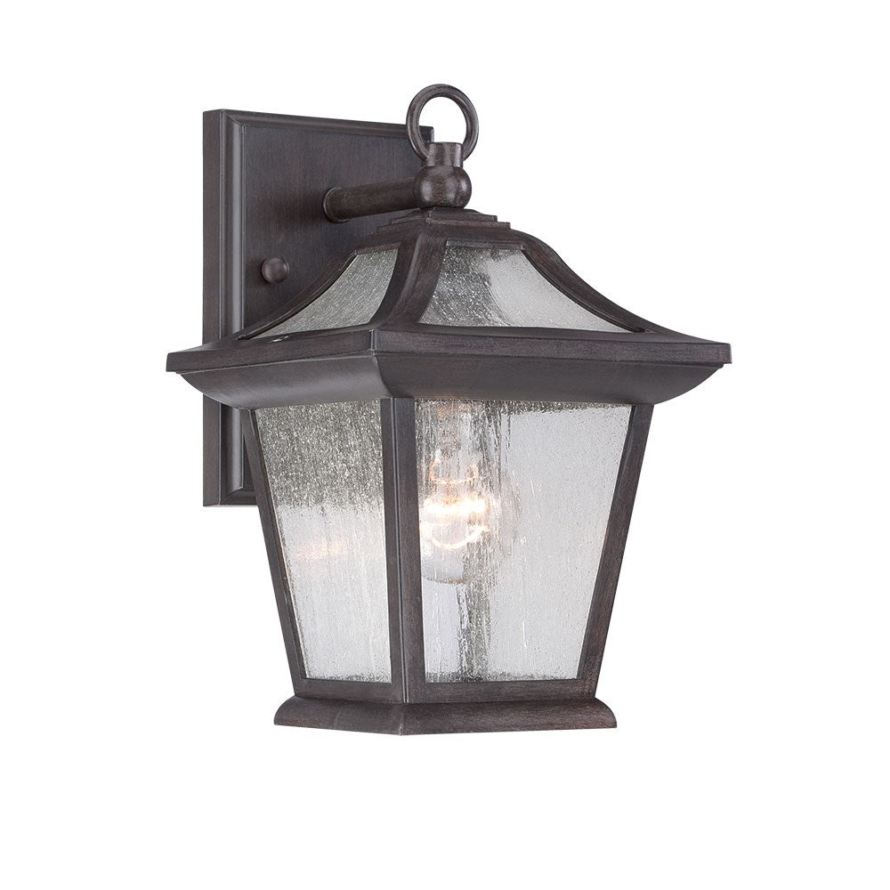 1-Light Outdoor Black Coral Light Fixture by Acclaim Lighting