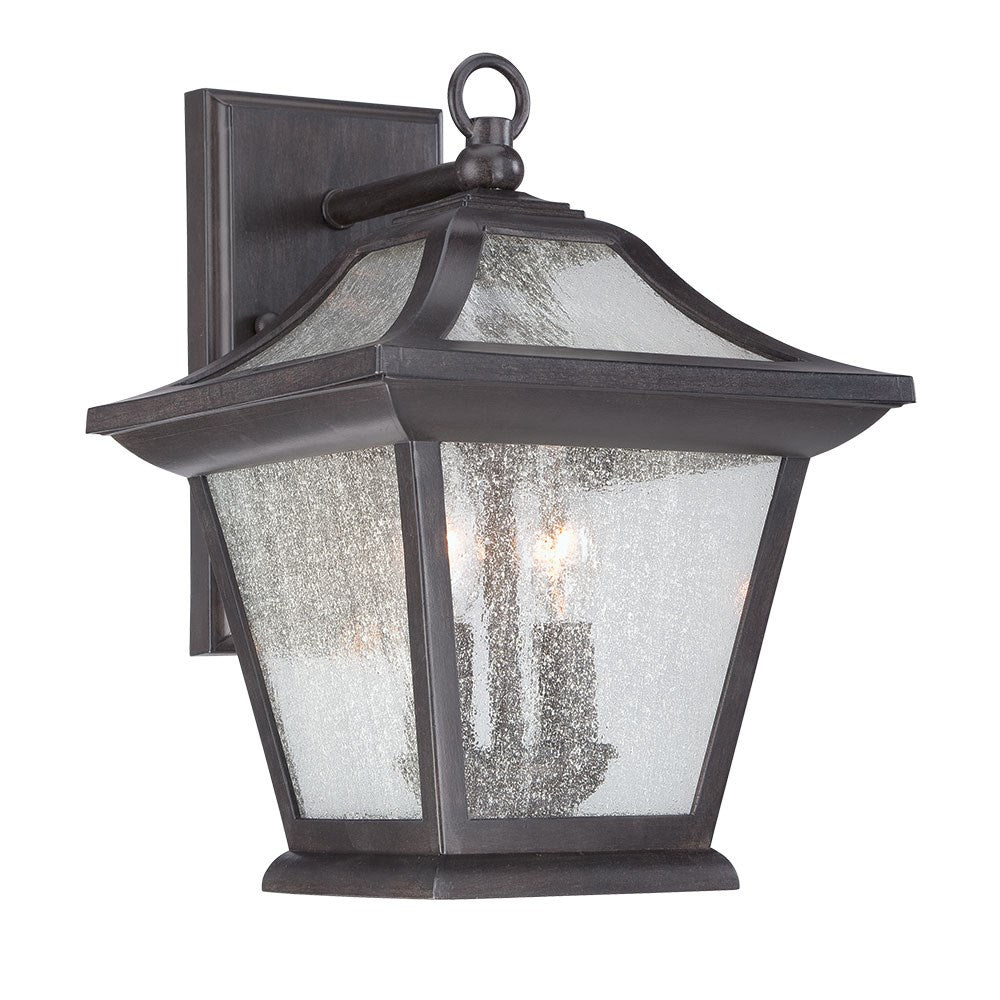 2-Light Outdoor Black Coral Light Fixture by Acclaim Lighting