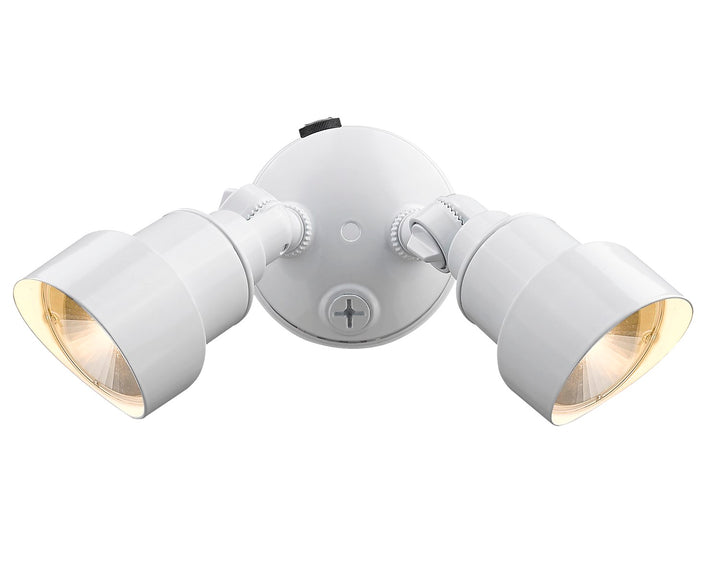 Led 2-Light Outdoor White Light Fixture