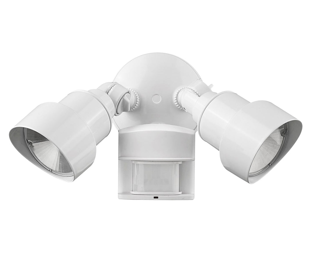 Led 2-Light Outdoor White Light Fixture by Acclaim Lighting