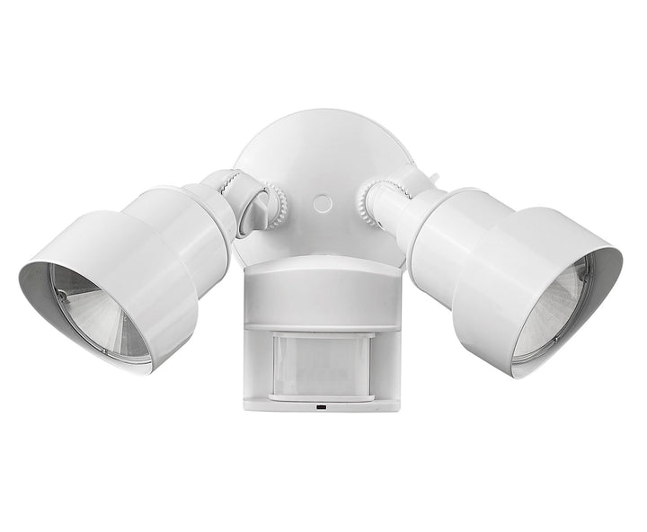 Led 2-Light Outdoor White Light Fixture by Acclaim Lighting