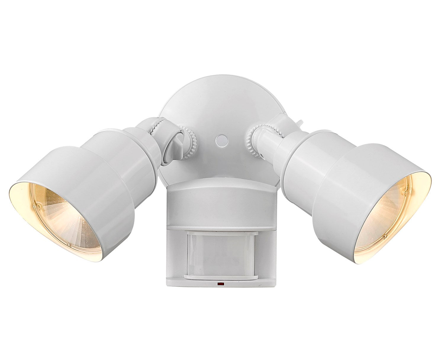 Led 2-Light Outdoor White Light Fixture