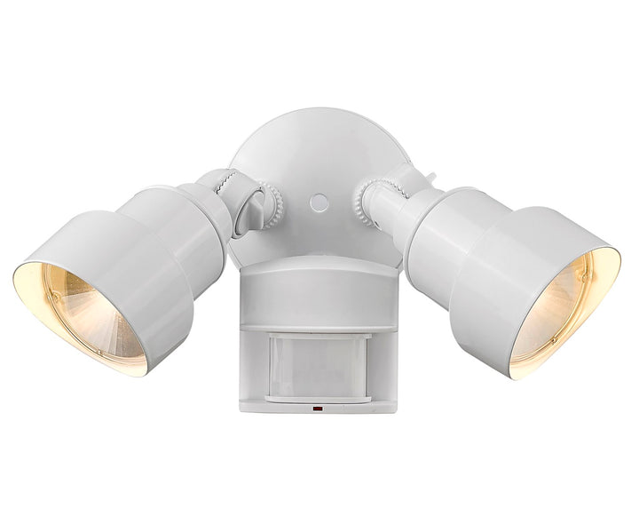 Led 2-Light Outdoor White Light Fixture