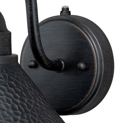9.75-in Outdoor Wall Light Aged Iron and Light Gold