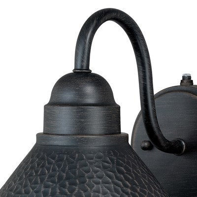 9.75-in Outdoor Wall Light Aged Iron and Light Gold