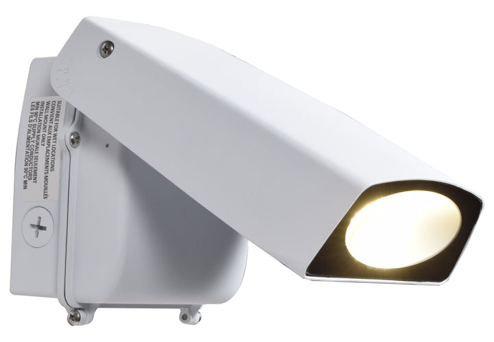 Wet Location Adjustable Wall Pack
