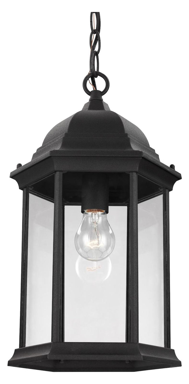 One Light Outdoor Pendant by Generation Lighting