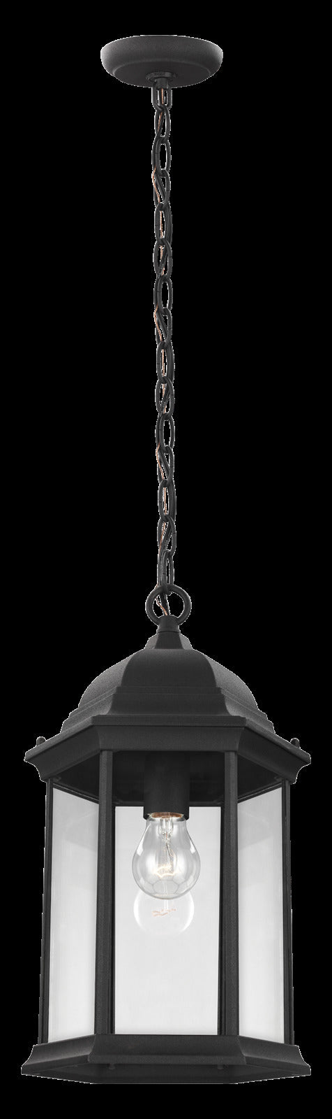One Light Outdoor Pendant