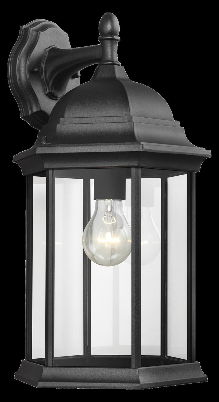 Large One Light Downlight Outdoor Wall Lantern