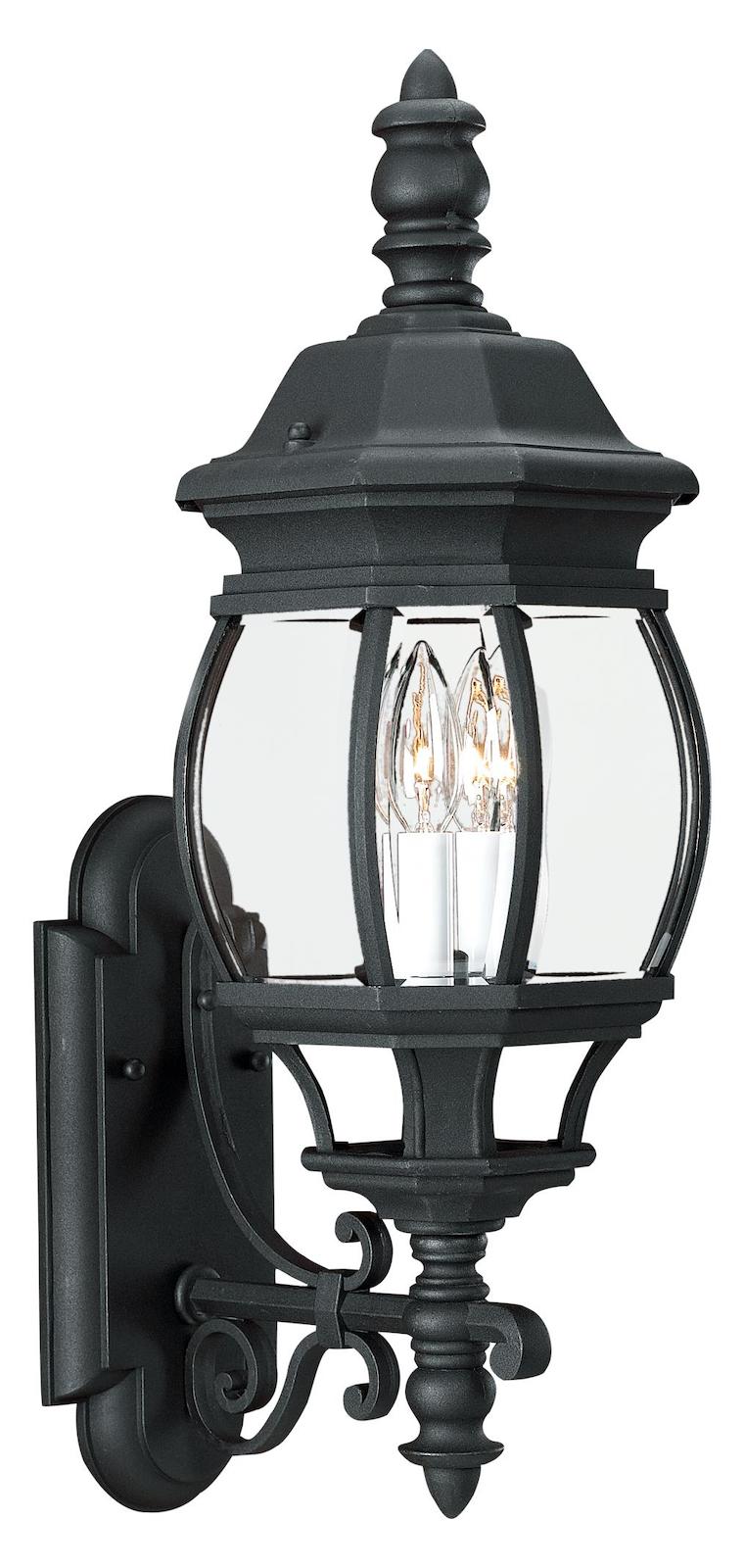 Two Light Outdoor Wall Lantern by Generation Lighting