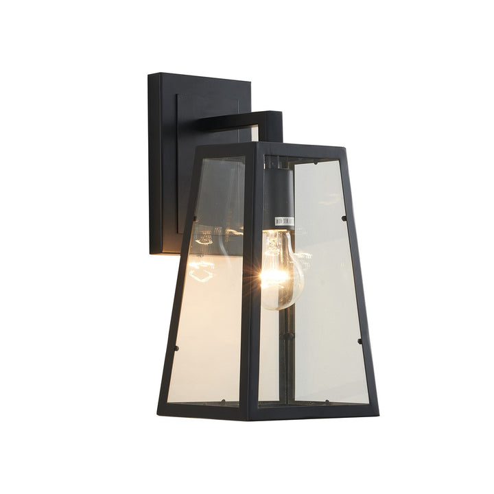 Clear Glass Black Frame Light Fixture by Bethel
