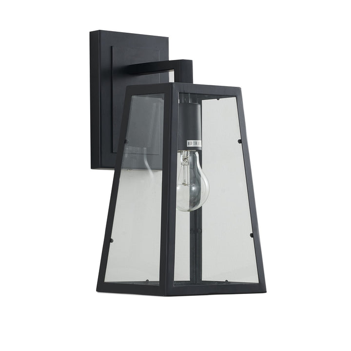 Clear Glass Black Frame Light Fixture