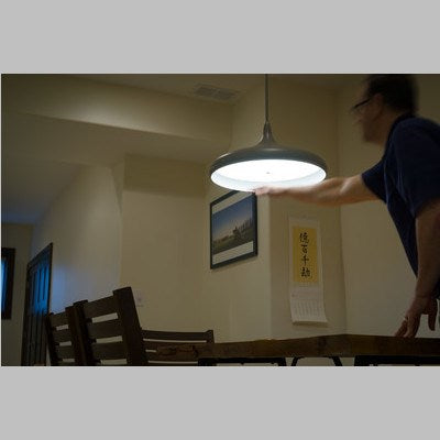 Instalux 21-in LED Pendant Taupe