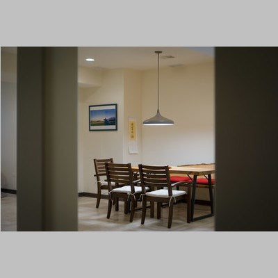Instalux 21-in LED Pendant Taupe
