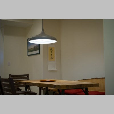 Instalux 21-in LED Pendant Taupe