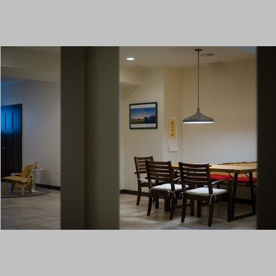 Instalux 21-in LED Pendant Taupe