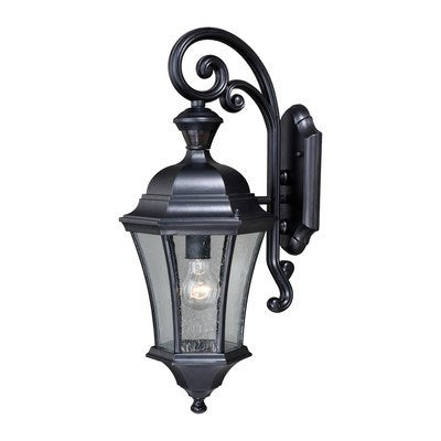 Motion Sensor Dusk to Dawn Outdoor Wall Light Shiny Black by Vaxcel International