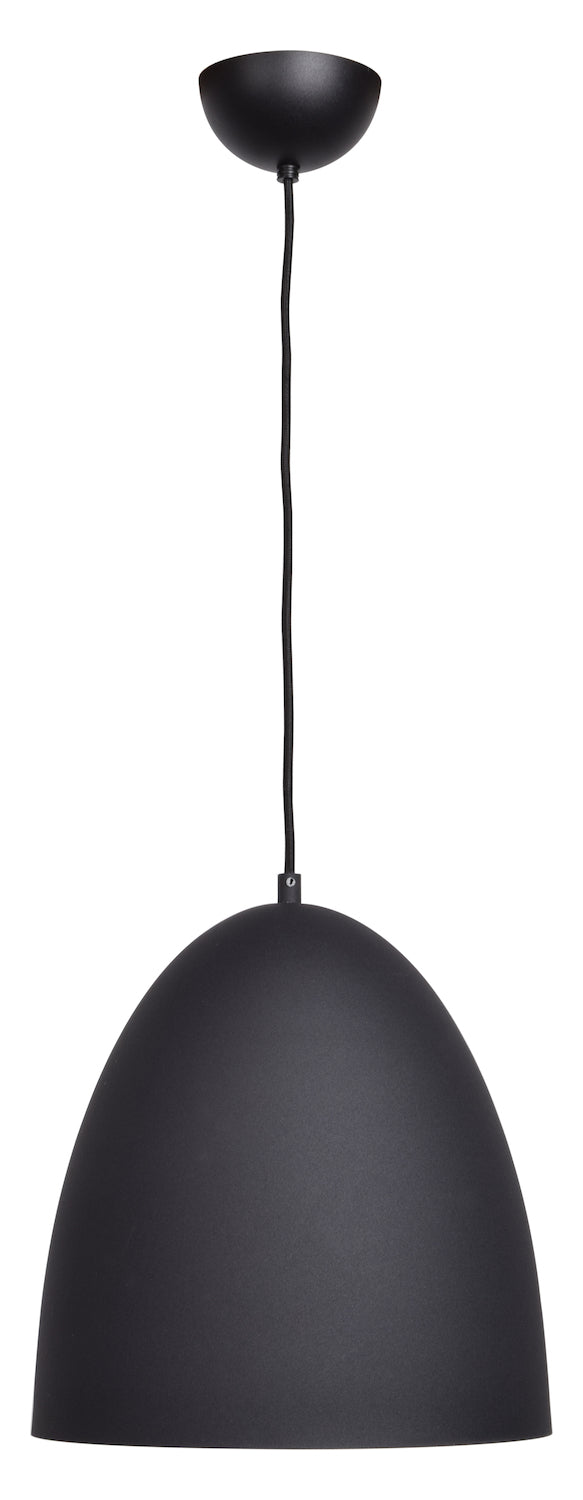1-Light Pendant by Access